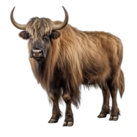 AI generated Yak clip art png