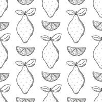 Whole and sliced lemon hand engraved seamless pattern vector