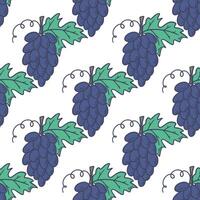 Branches of blue ripe grapes background vector graphics