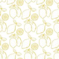 Yellow lemons hand engraved seamless pattern vector