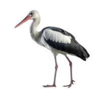 ai genererad stork klämma konst png