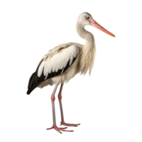 ai genererad stork klämma konst png