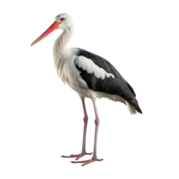 ai genererad stork klämma konst png