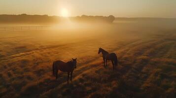 ai generado caballos son caminando libremente en el verde prado a puesta de sol. foto