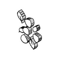 maduro frambuesa bayas isométrica icono vector ilustración