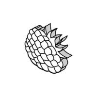 raspberry berry leaf isometric icon vector illustration