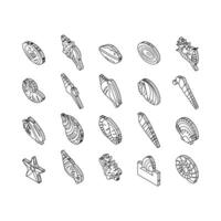 sea shell beach summer ocean isometric icons set vector