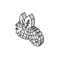 ripe blackberry leaf isometric icon vector illustration