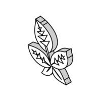 green blackberry leaf isometric icon vector illustration