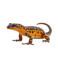 AI generated Salamander clip art png