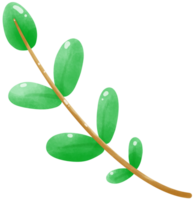 rama de hojas verdes png