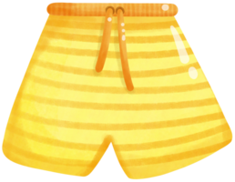 Swimming trunks for boy png