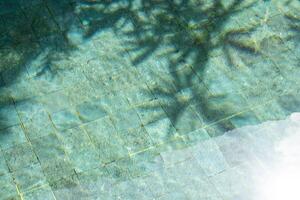 tropical hojas sombra en el superficie de nadando piscina. foto