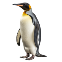 ai gegenereerd pinguïn klem kunst png