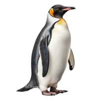 ai gerado pinguim grampo arte png