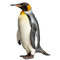 ai gegenereerd pinguïn klem kunst png