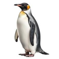 ai generiert Pinguin Clip Kunst png