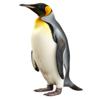 AI generated Penguin clip art png