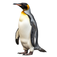 AI generated Penguin clip art png