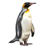 ai genererad pingvin klämma konst png