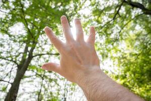 Hand covering the sun with its fingers while a ray of light passes between them, in the background you can see tree branches. photo