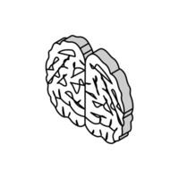 brain human isometric icon vector illustration