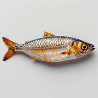 AI generated Herring on a white isolated background - AI generated image photo