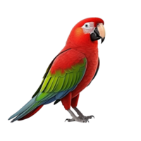 AI generated Parrot clip art png