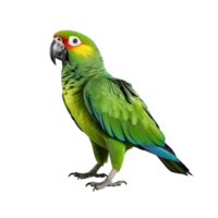 AI generated Parrot clip art png