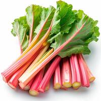 AI generated Rhubarb on a white isolated background - AI generated image photo