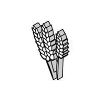 ears of wheat harvest isometric icon vector illustration