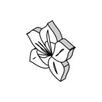 azalea blossom spring isometric icon vector illustration