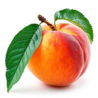 AI generated Southern fruit, peaches on white isolated background - AI generated image photo