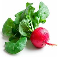 AI generated Garden crop, vegetable radish on white isolated background - AI generated image photo