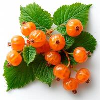 AI generated Cloudberry, northern berry on a white isolated background - AI generated image photo