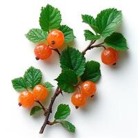 AI generated Cloudberry, northern berry on a white isolated background - AI generated image photo
