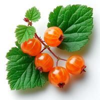 AI generated Cloudberry, northern berry on a white isolated background - AI generated image photo