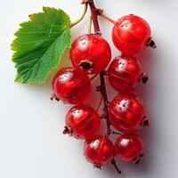 AI generated Red currant berry on a white isolated background - AI generated image photo