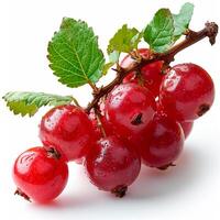 AI generated Red currant berry on a white isolated background - AI generated image photo