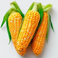 AI generated Fresh corn cobs on white isolated background - AI generated image photo