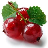 AI generated Red currant berry on a white isolated background - AI generated image photo