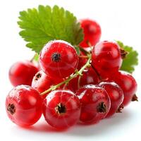 AI generated Red currant berry on a white isolated background - AI generated image photo