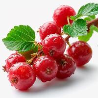 AI generated Red currant berry on a white isolated background - AI generated image photo
