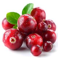 AI generated Cranberry berry on white isolated background - AI generated image photo