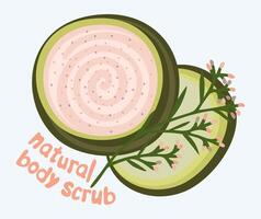 Natural body scrub. Vector isolated illustration