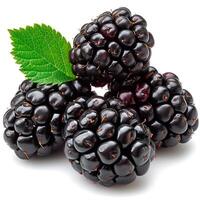 AI generated Blackberry berry, ripe berry on a white isolated background - AI generated image photo