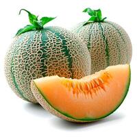 AI generated Ripe melon on a white isolated background - AI generated image photo