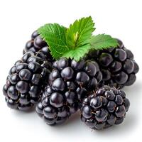 AI generated Blackberry berry, ripe berry on a white isolated background - AI generated image photo