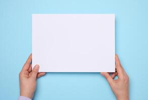 Female hands holding a blank white sheet of paper on a blue background photo