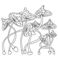 Amanita mushrooms coloring page, forest dangerous Fly agaric for creativity vector